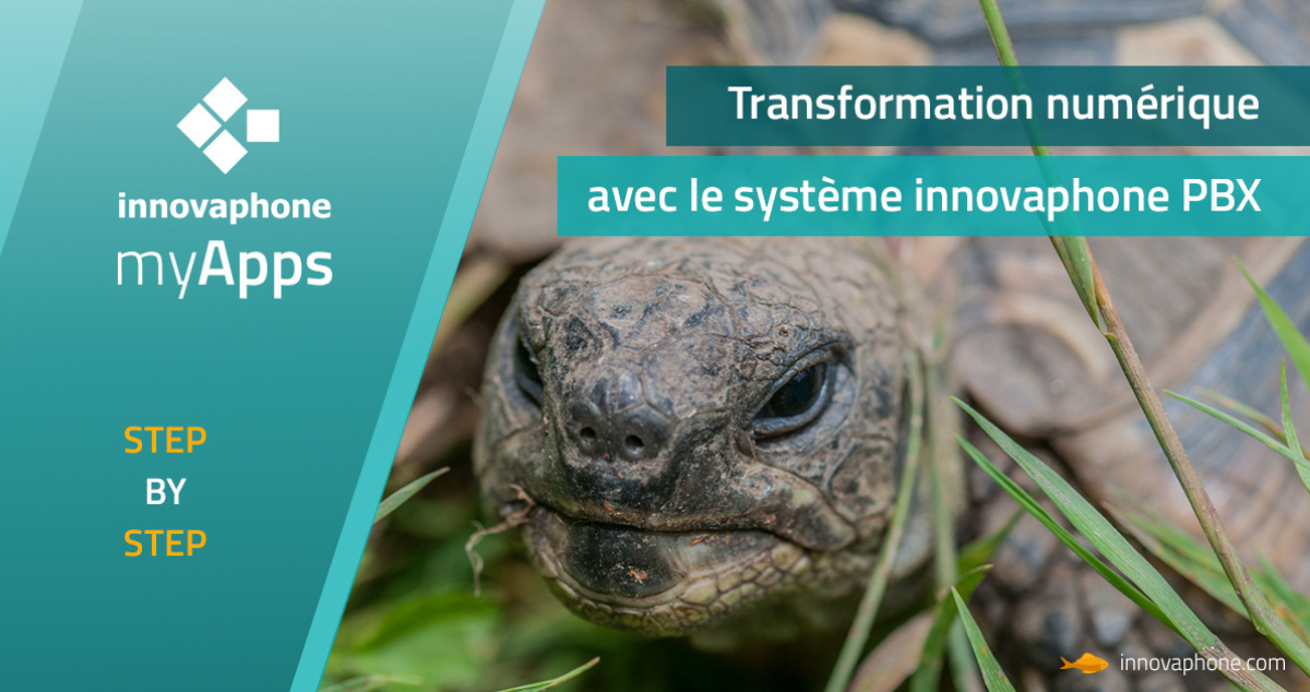 Et si vous amélioriez la collaboration et l'engagement dans votre entreprise ? Comment ? Avec le réseau social d’entreprise innovaphone Connect !