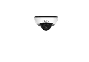 83 (5).webp