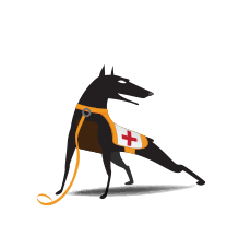 RUCKUS Networks enduser watchdog support - vscg-rtu, 5 yr