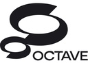 Octave Professional Services • Engineering Video Management System • per Day