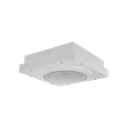 ALGO 8199 IP POE+ SURFACE MOUNT SPEAKER